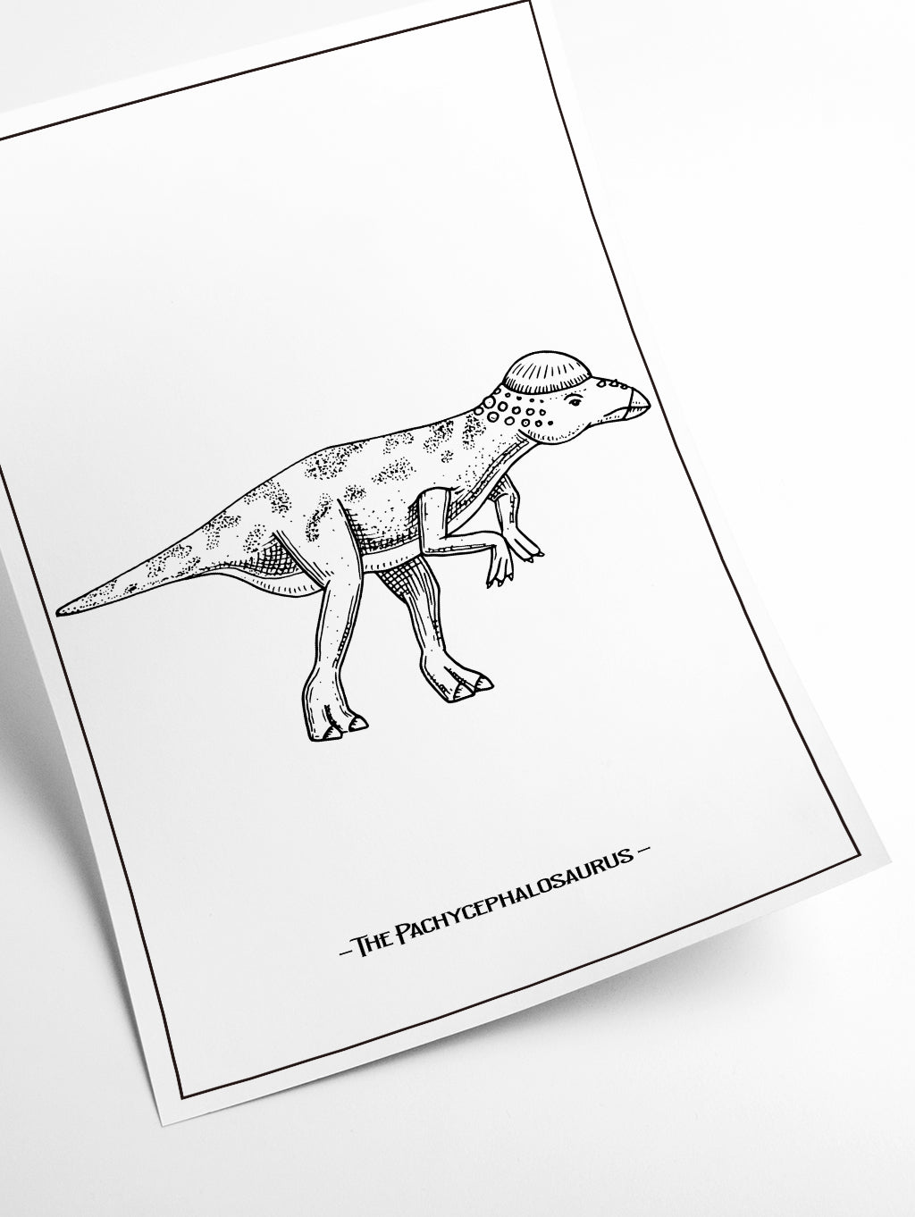 The Pachycephalosaurus