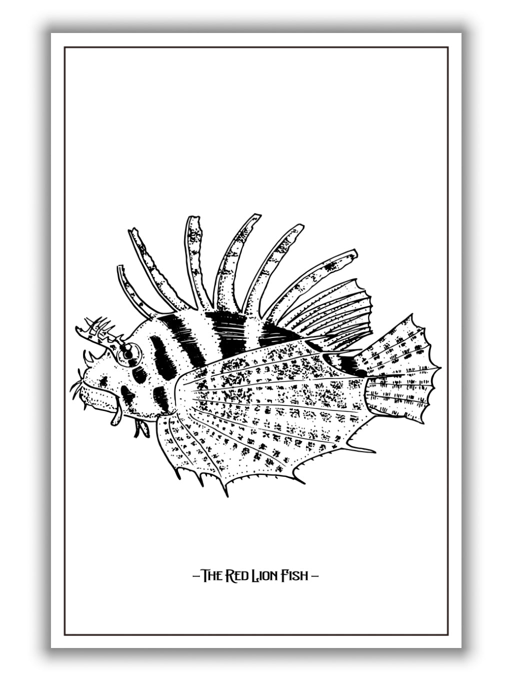 The red lion fish