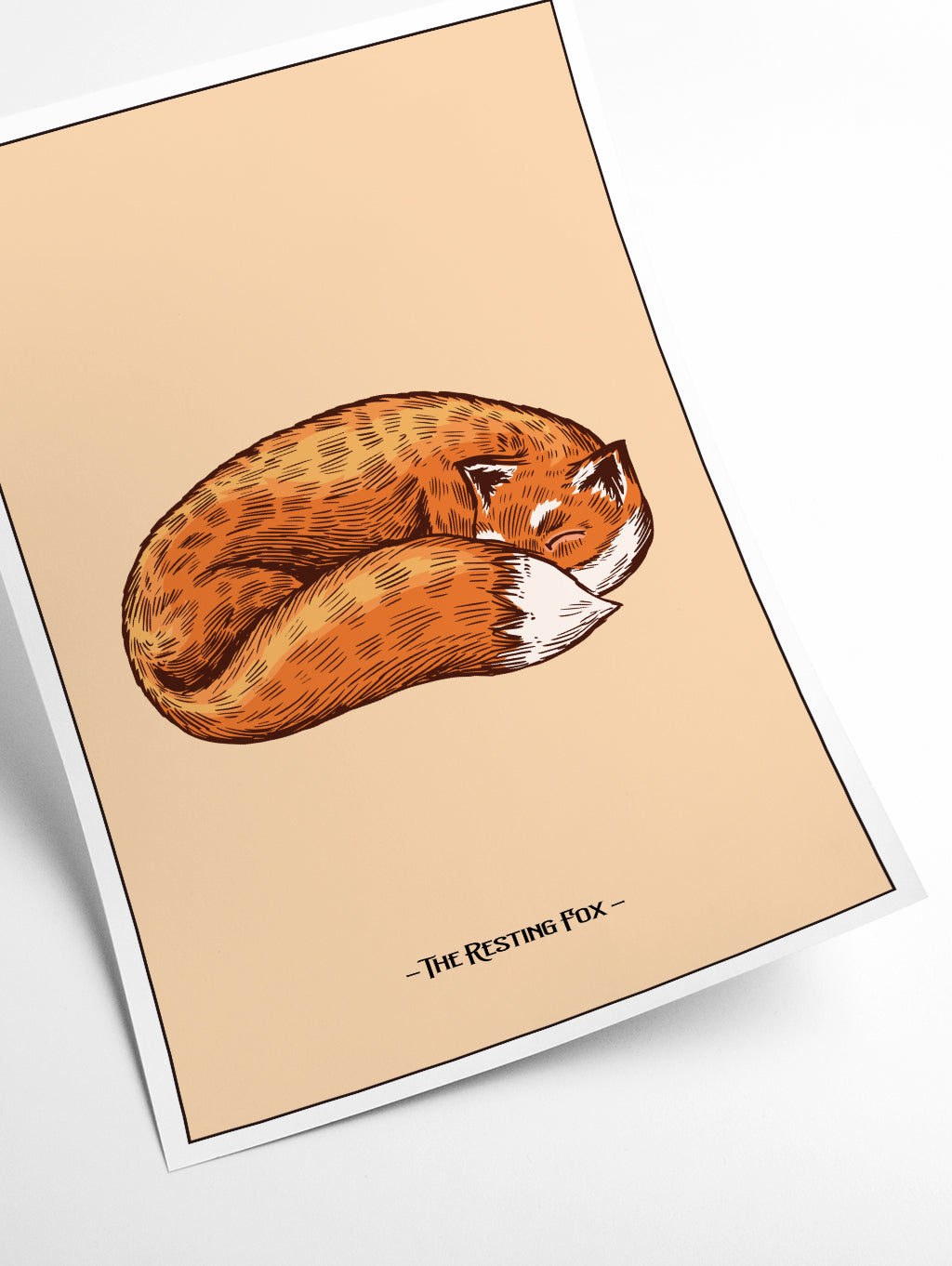 The resting Fox
