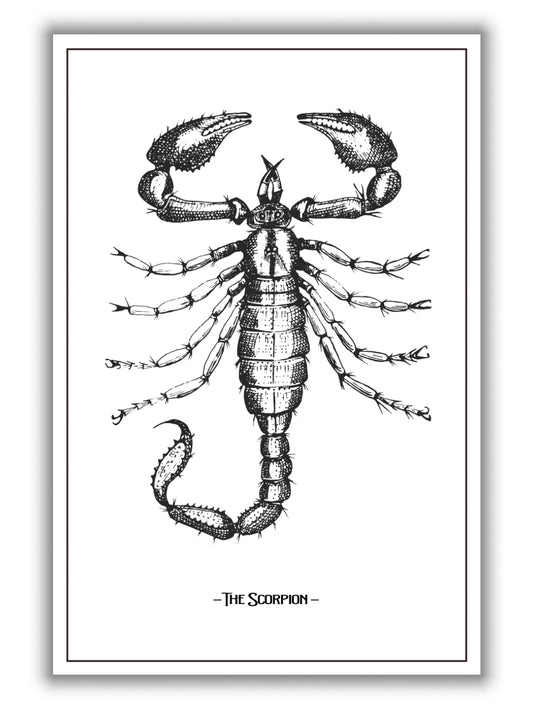 The Scorpion