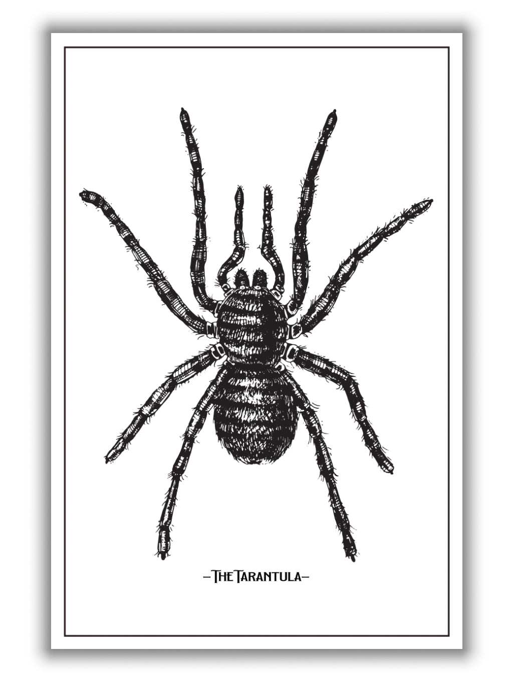 The Tarantula