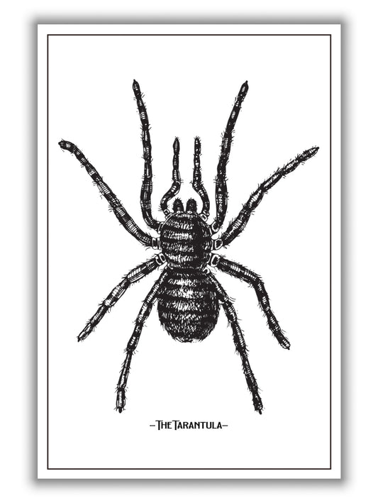 The Tarantula