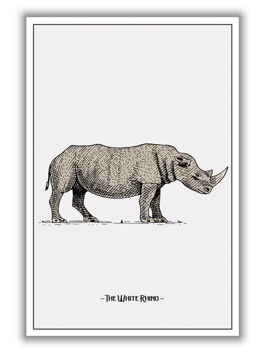 The White Rhino