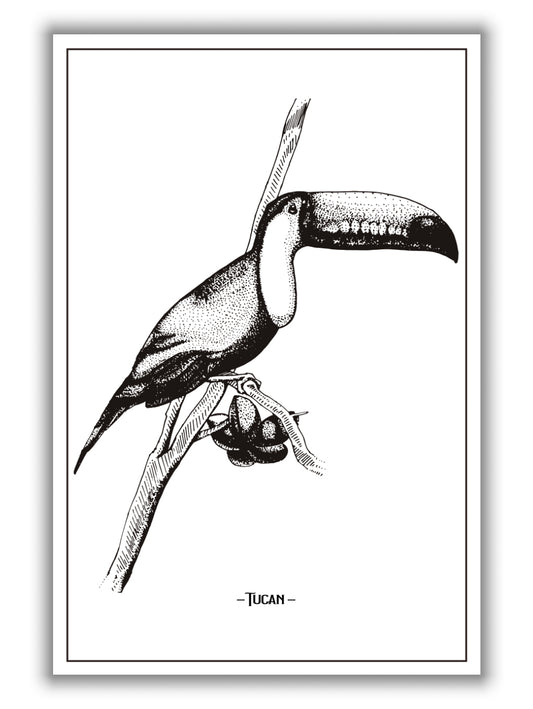 Tucan