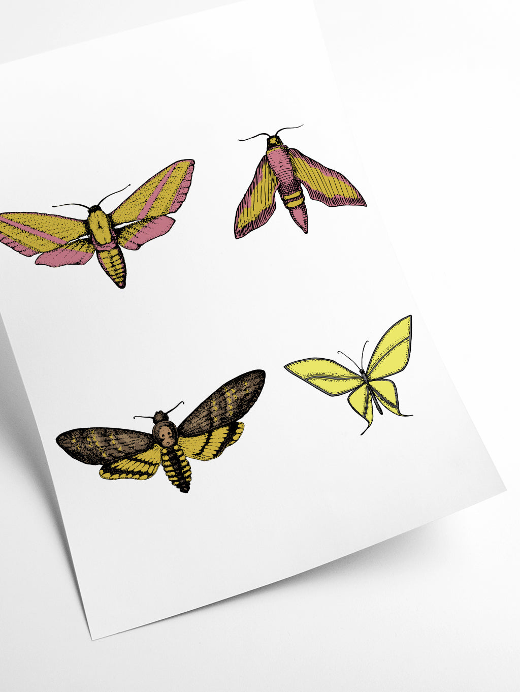 Vintage Moths