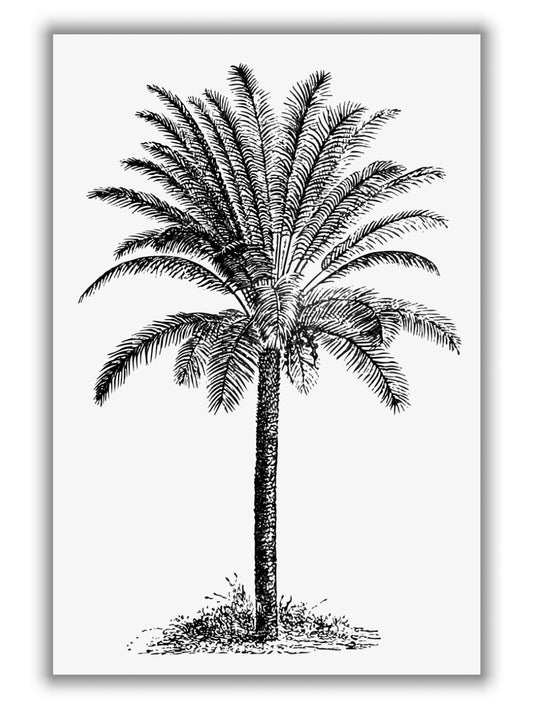 Vintage Palm Tree