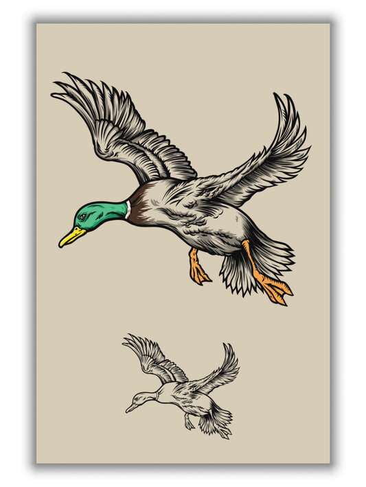 flying ducks