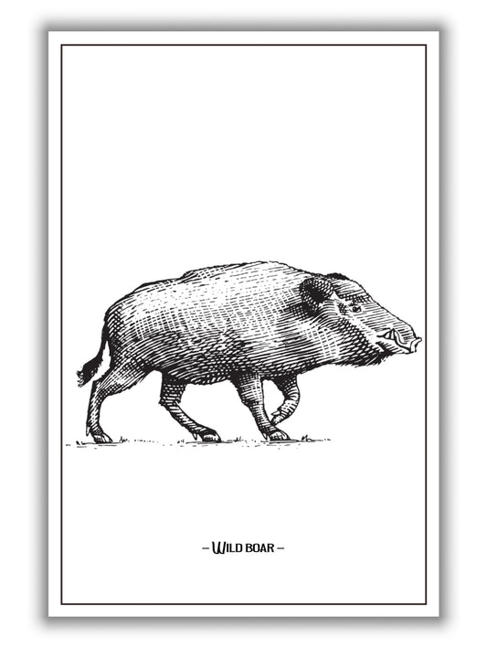 wild boar