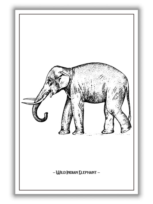 Wild Indian Elephant