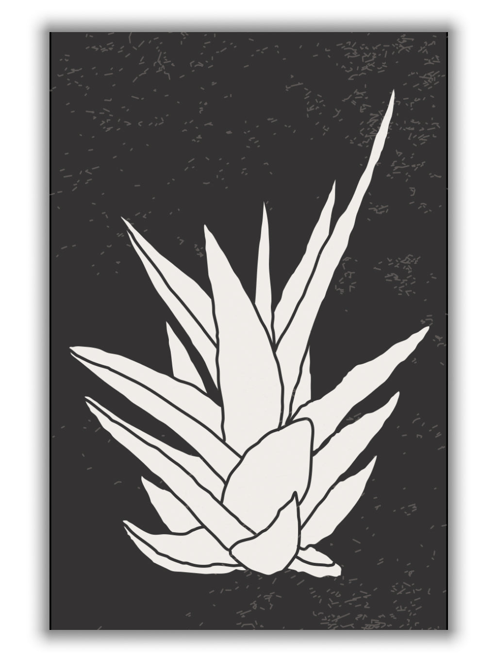 Agave #1