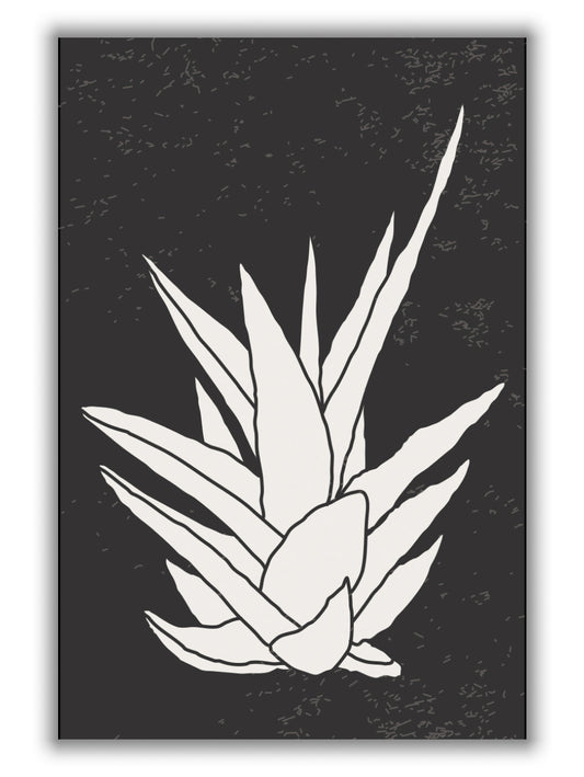 Agave #1