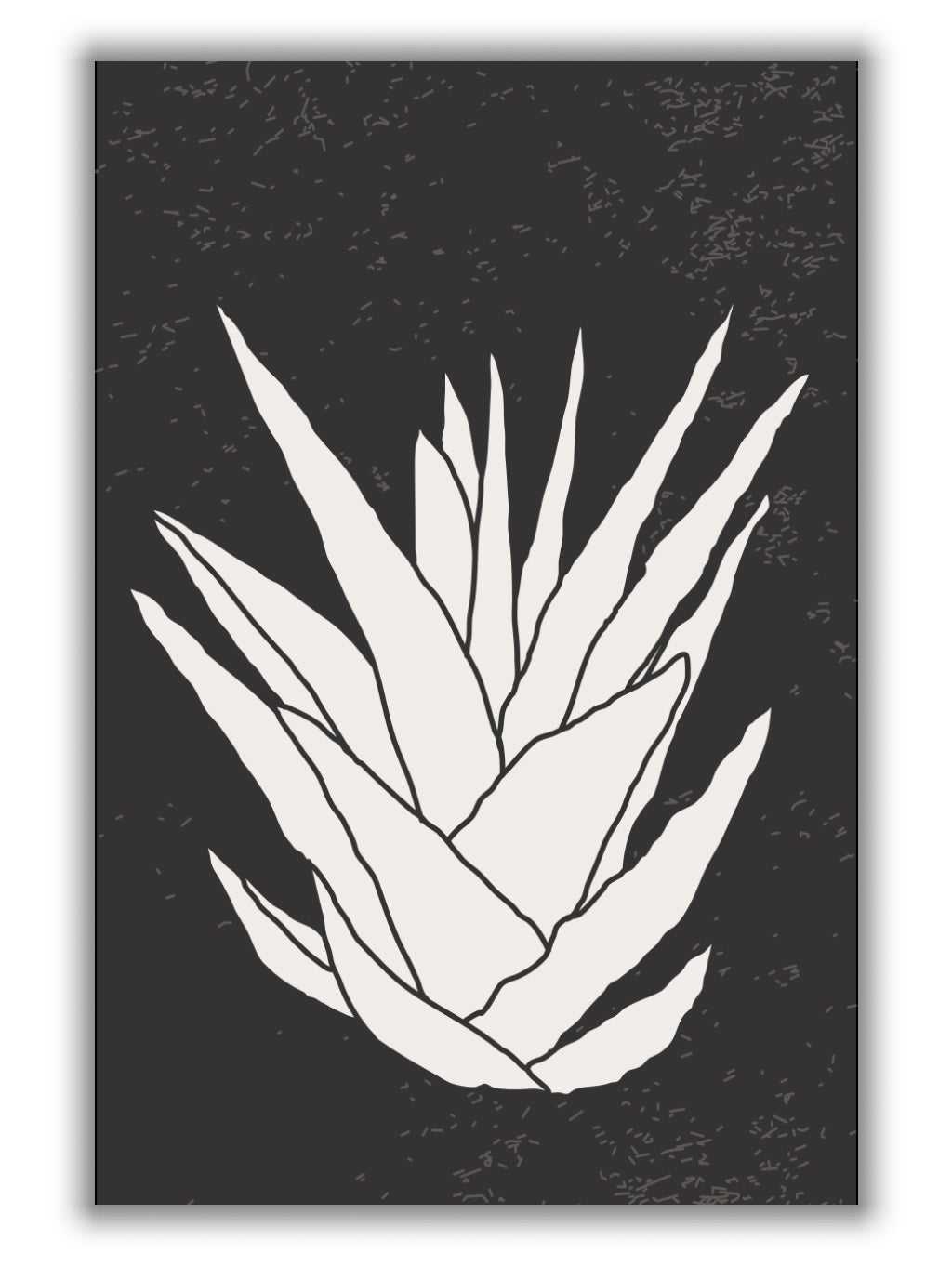 Agave #2