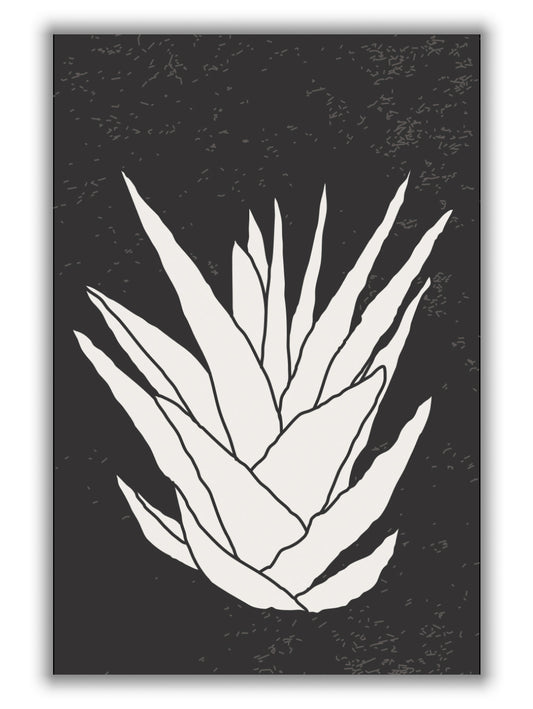 Agave #2