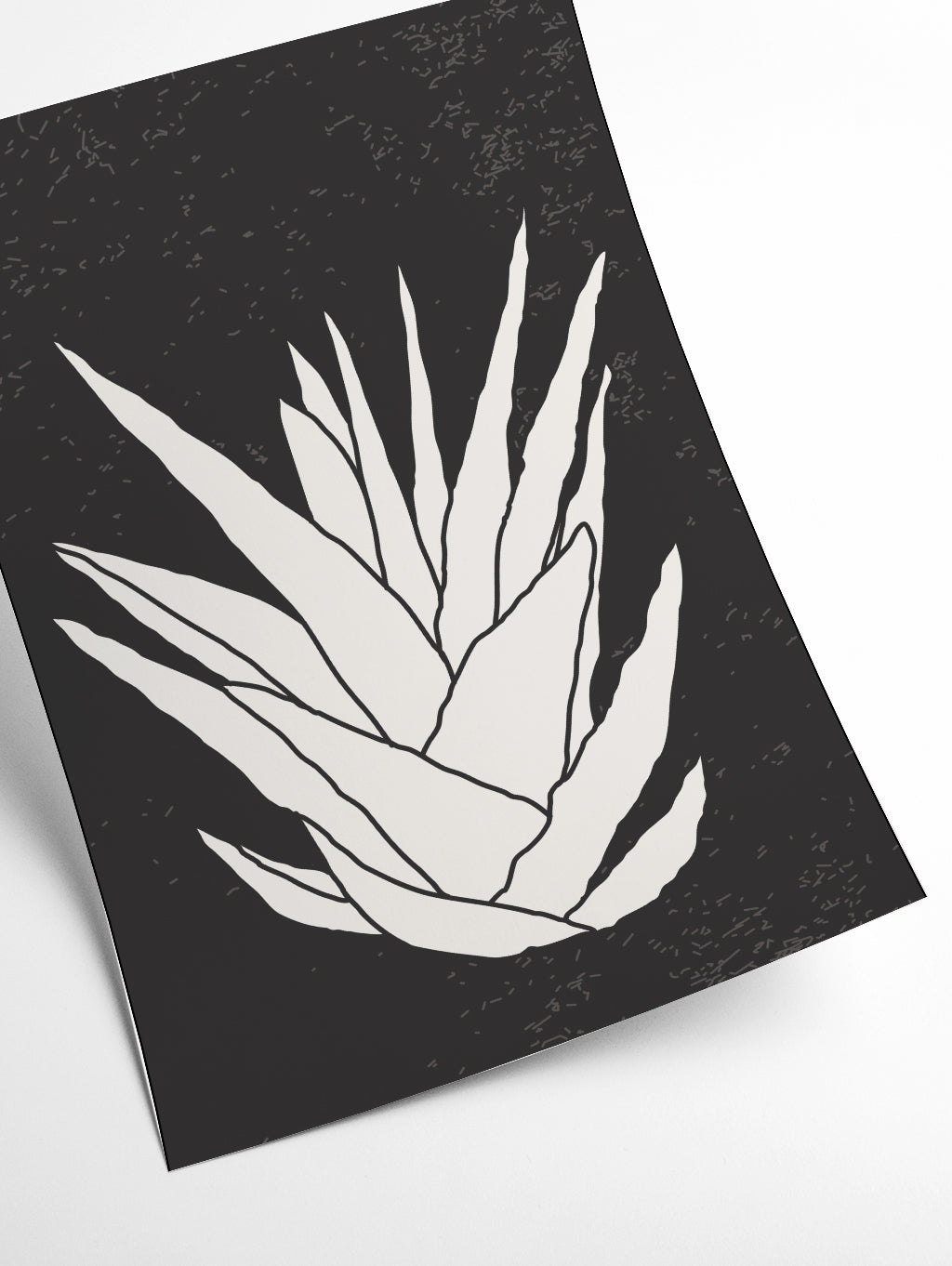 Agave #2