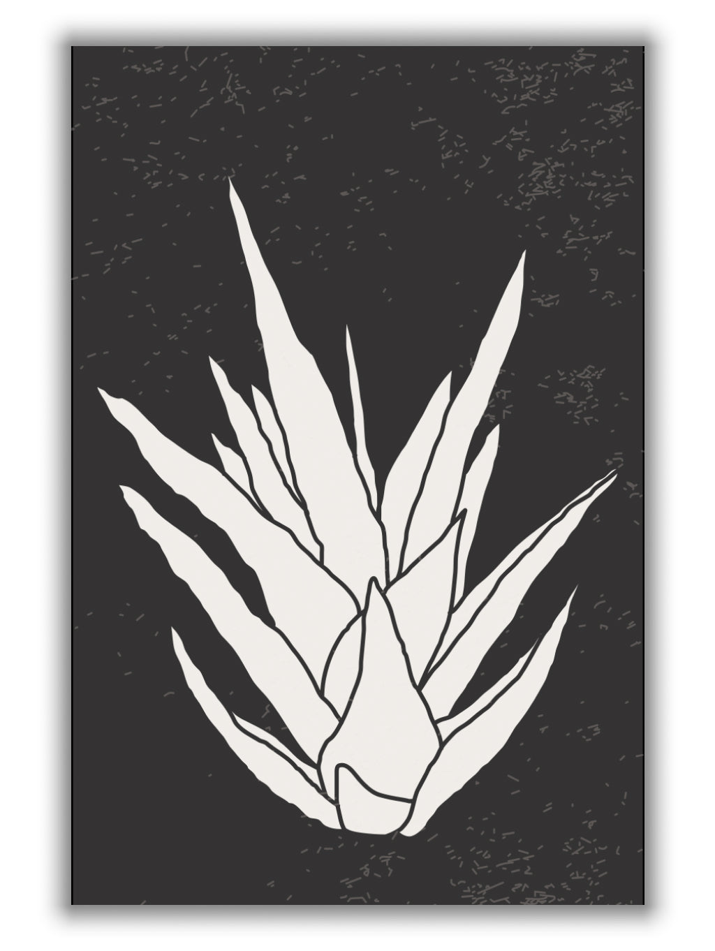 Agave #3