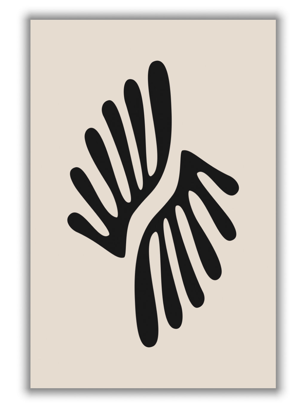 Henri Matisse Black Algae Collection #1
