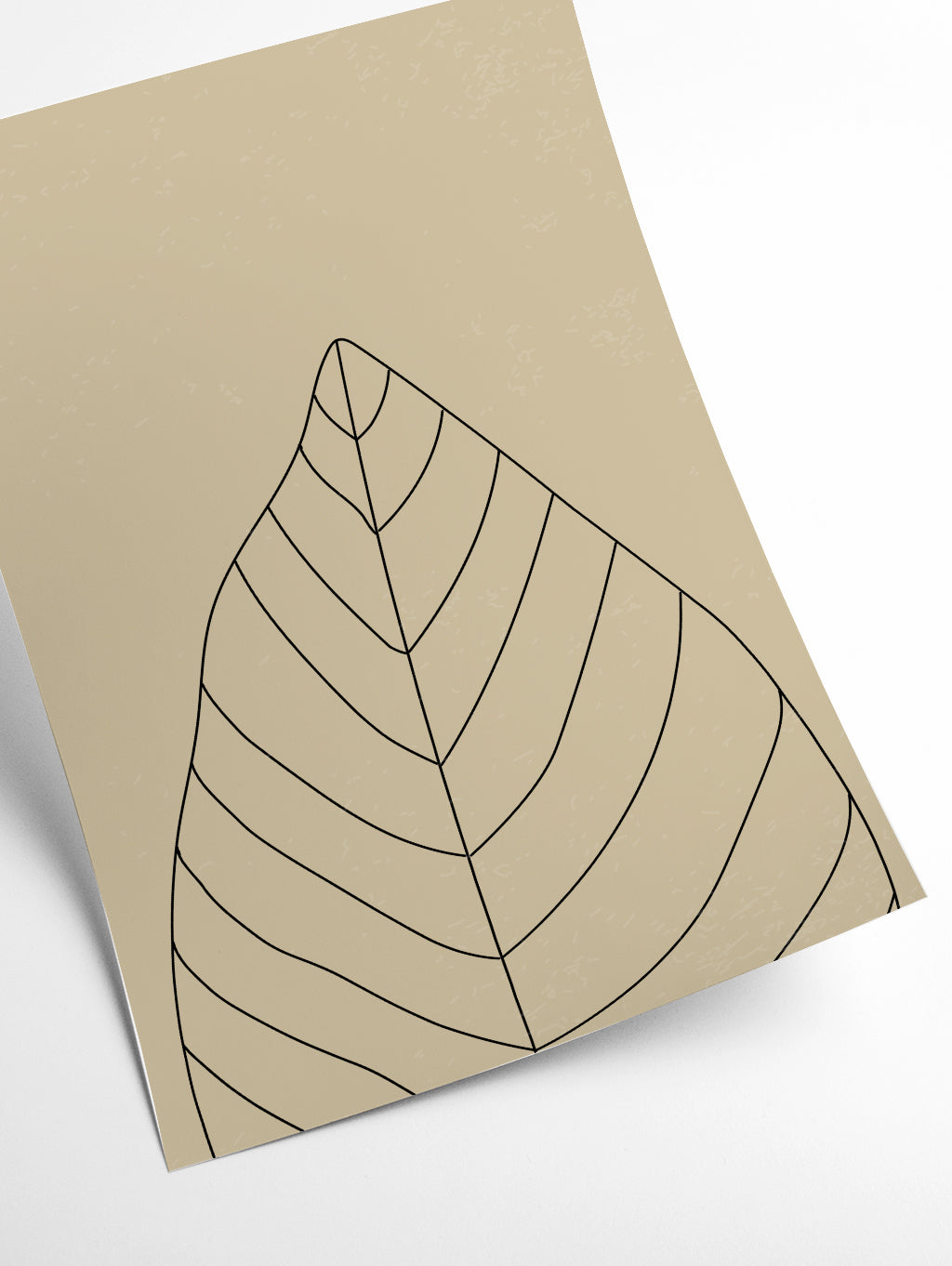 Minimal Leaves #1