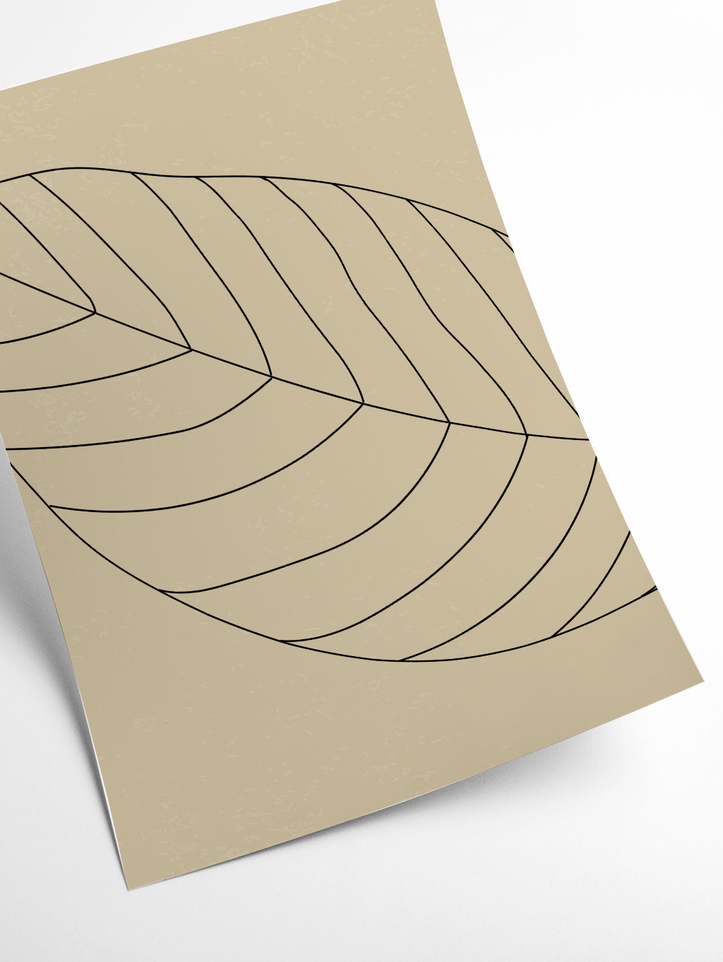Minimal Leaves #2