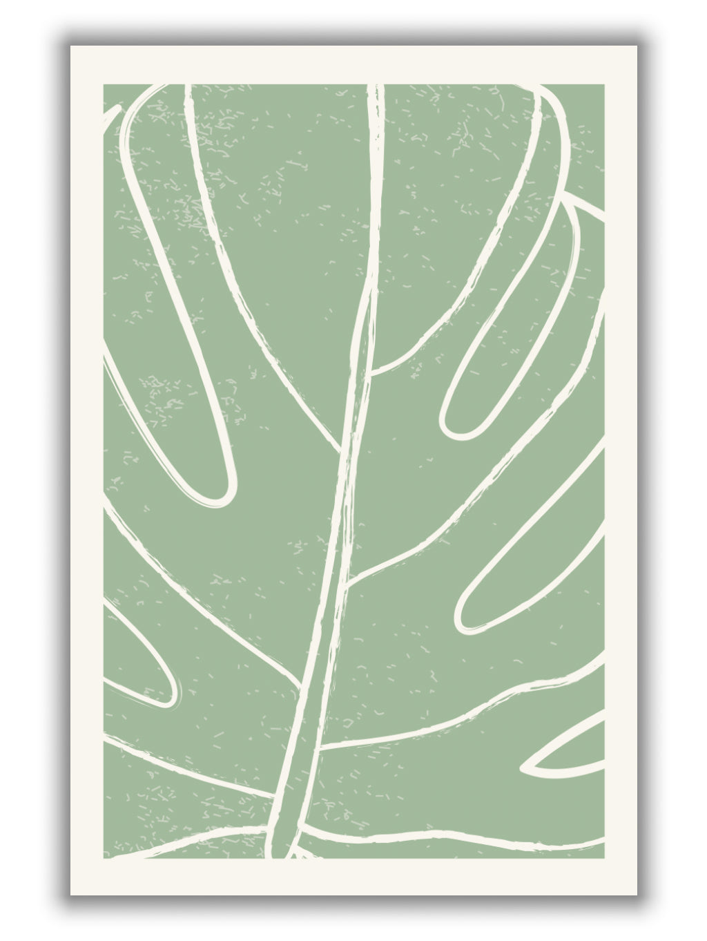 Minimal Monstera Collection #1