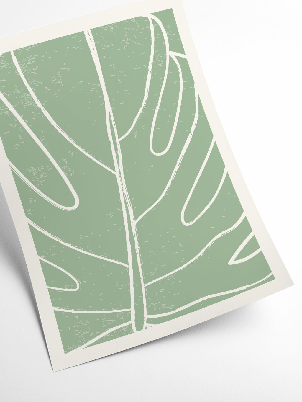 Minimal Monstera Collection #1