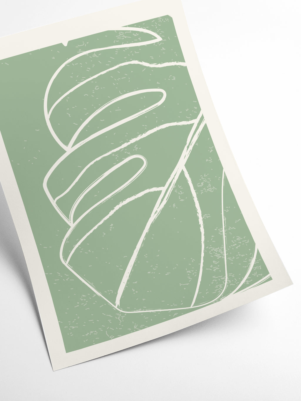 Minimal Monstera Collection #2