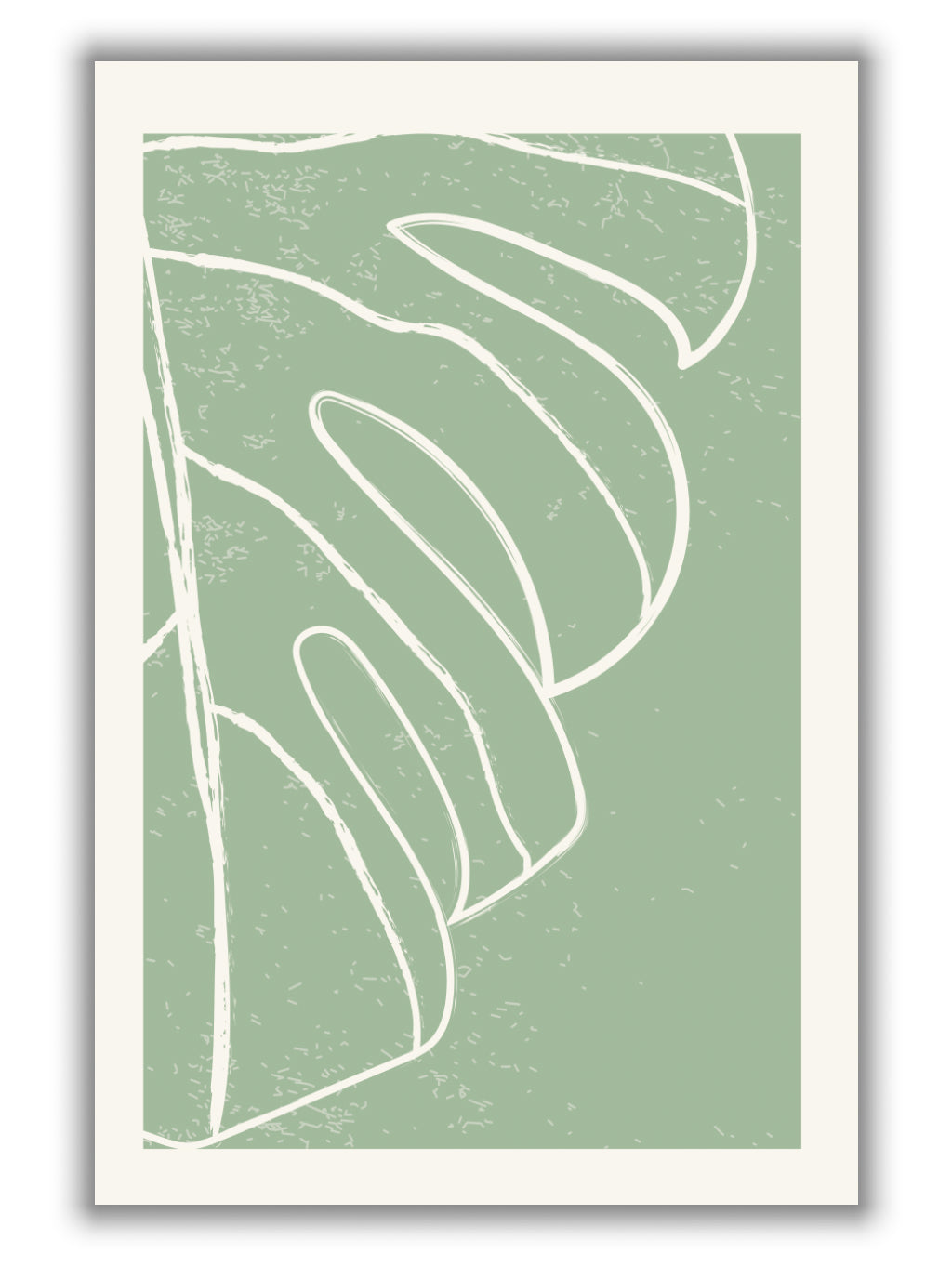Minimal Monstera Collection #3