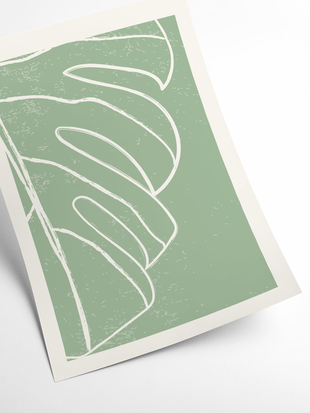 Minimal Monstera Collection #3
