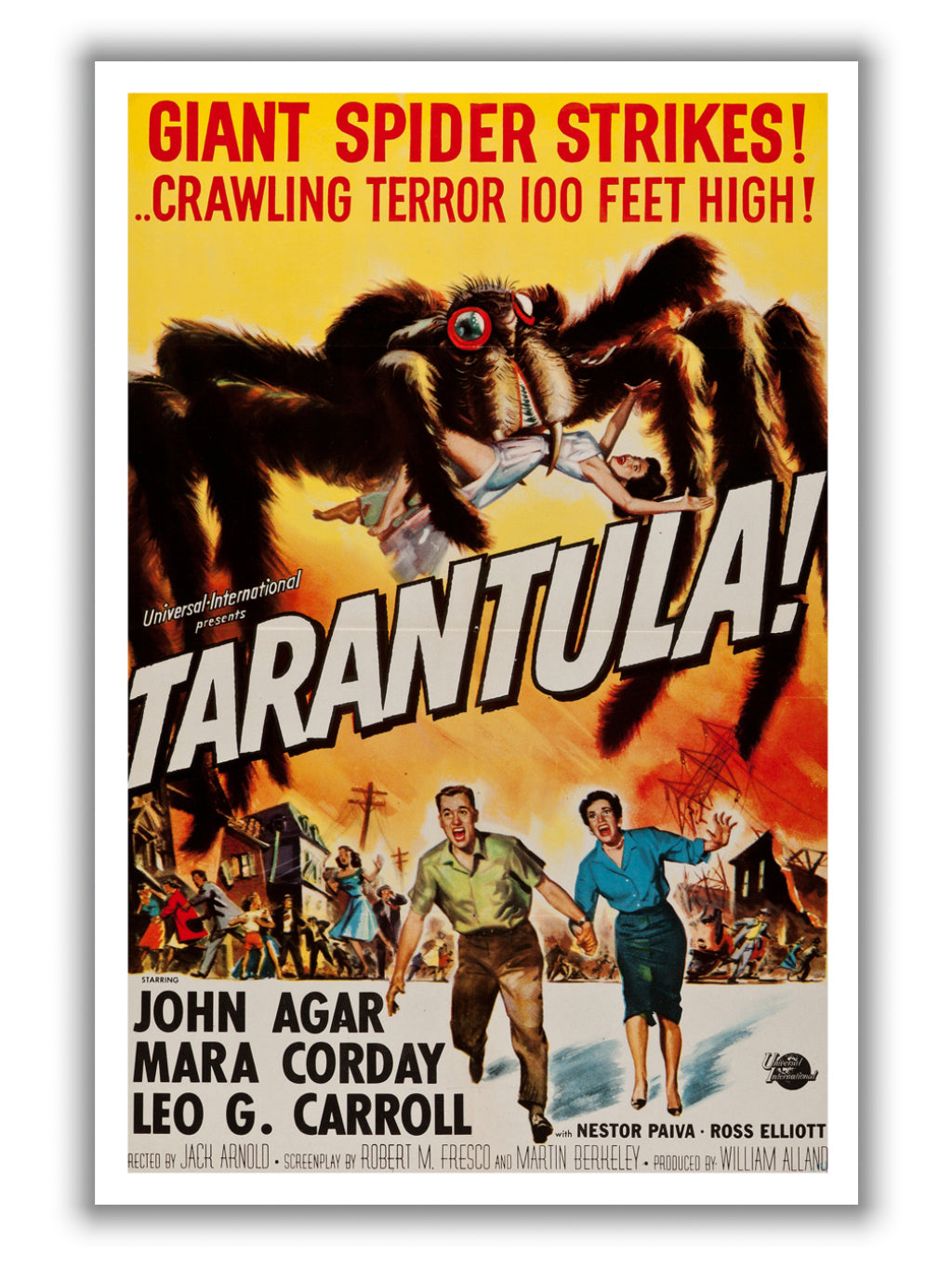 Tarantula!