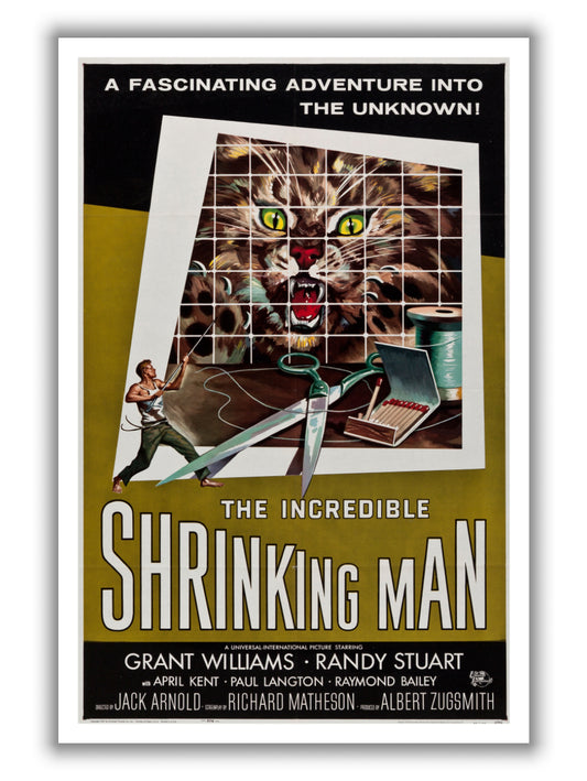 The Incredible Shrinking Man