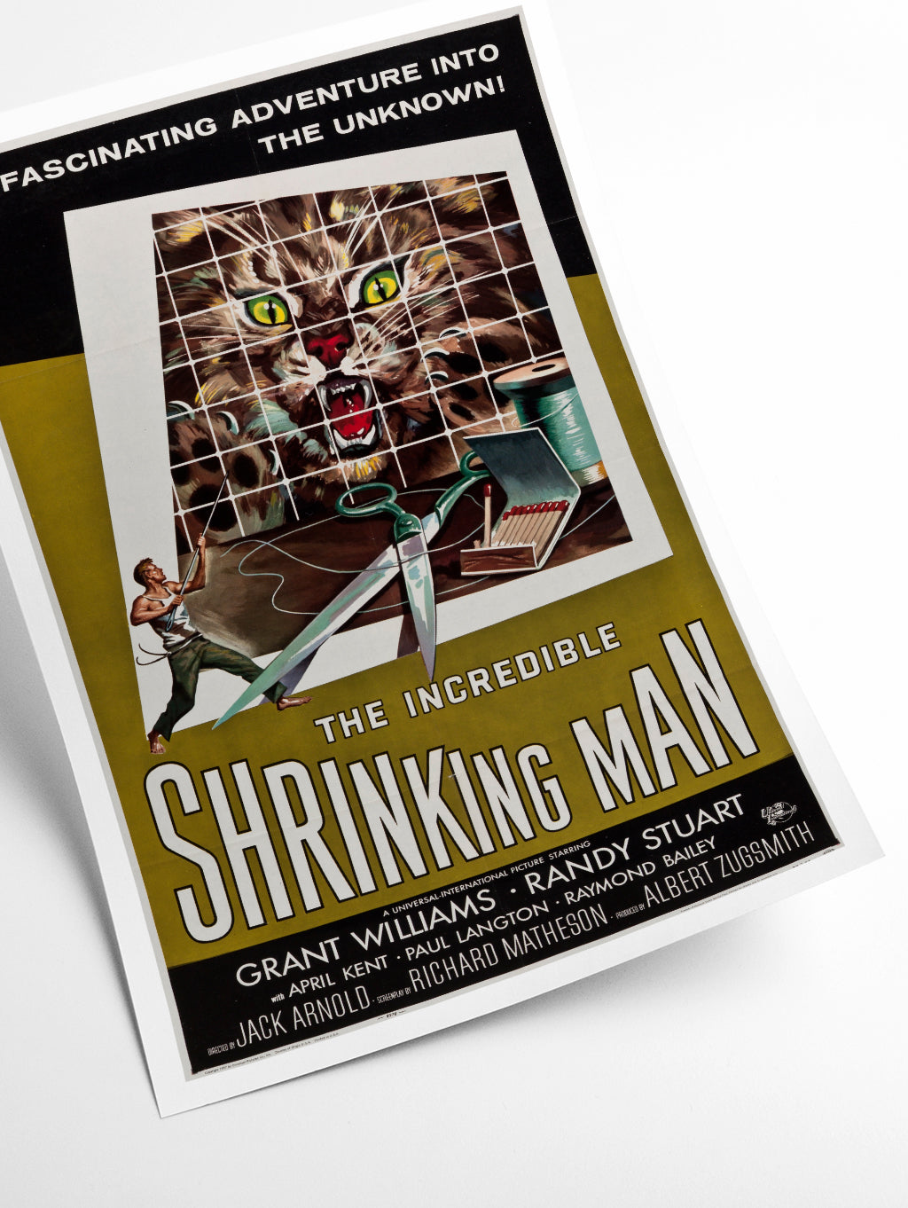 The Incredible Shrinking Man