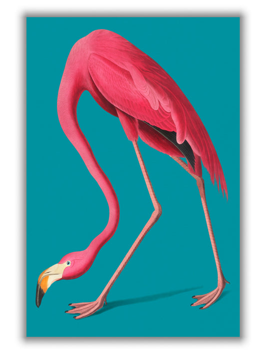 Vintage Illustration of Pink Flamingo