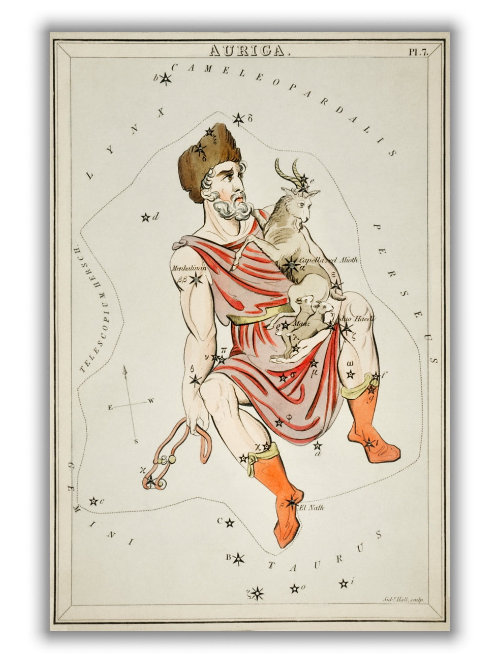 Astronomical chart illustration of the Auriga