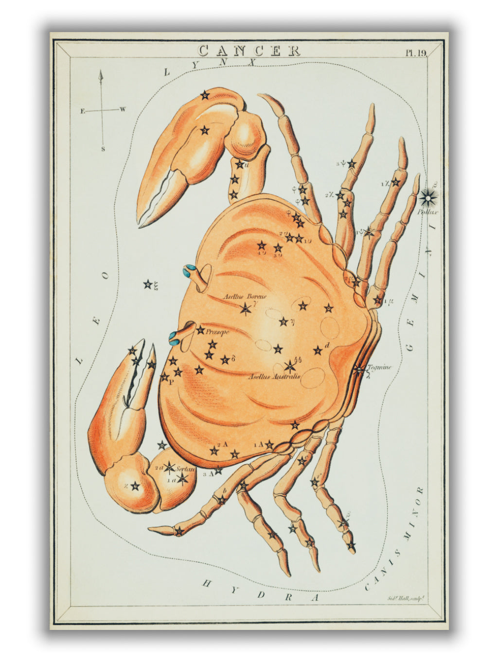 Astronomical chart illustration of the cancer zodiac