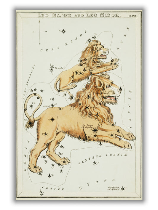 Astronomical chart illustration of the Leo Major and the Leo Minor