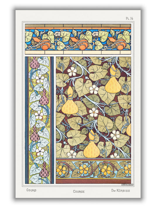 Courge (white–flowered gourd) by Maurice Pillard Verneuil