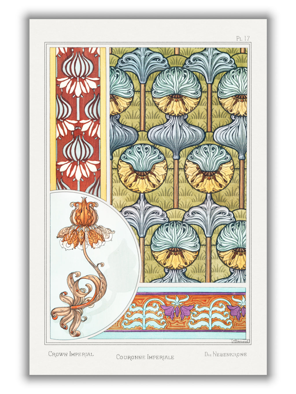 Couronne Impériale (crown imperial) by Maurice Pillard Verneuil