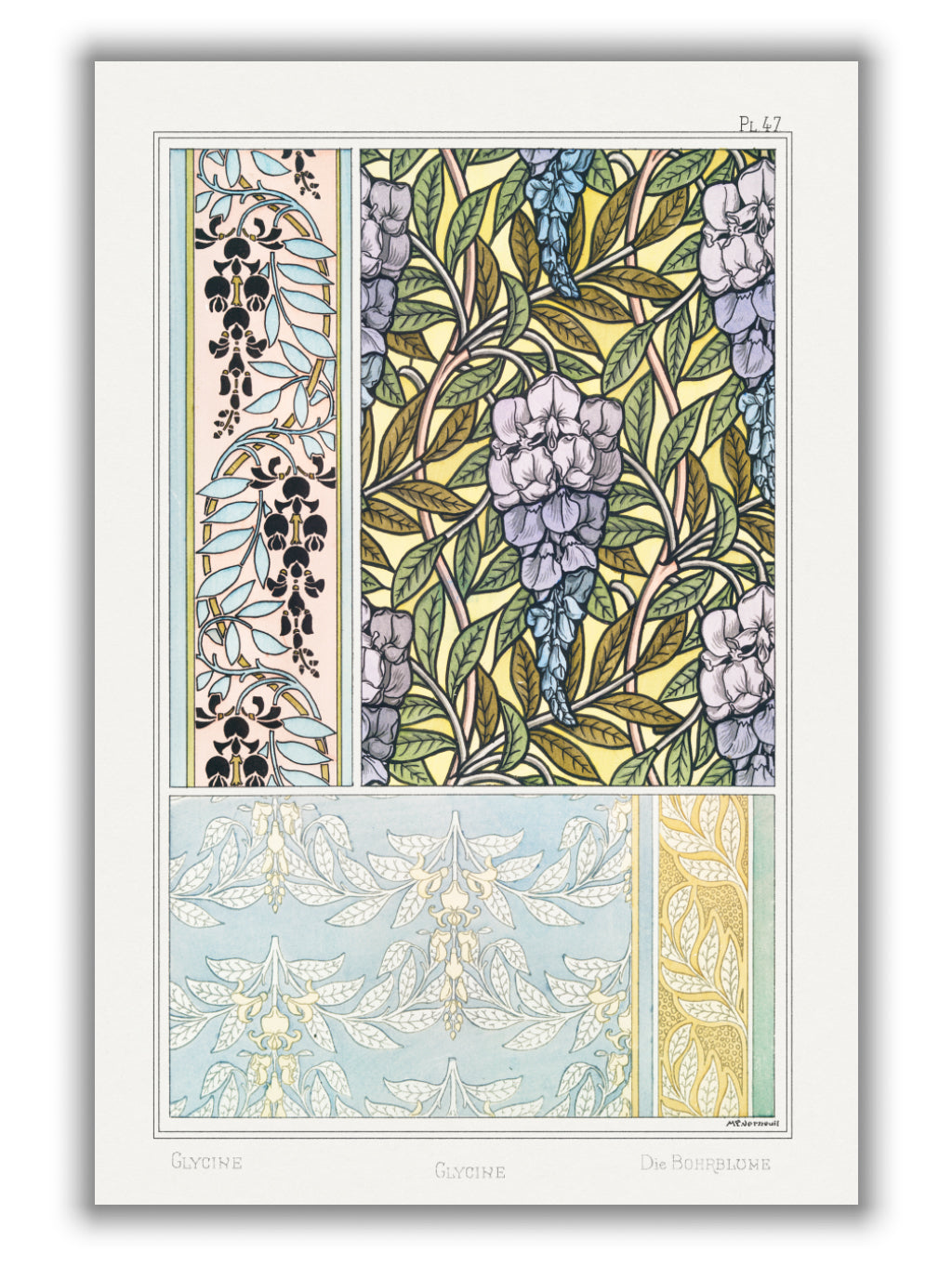 Glycine (wisteria) II by Maurice Pillard Verneuil