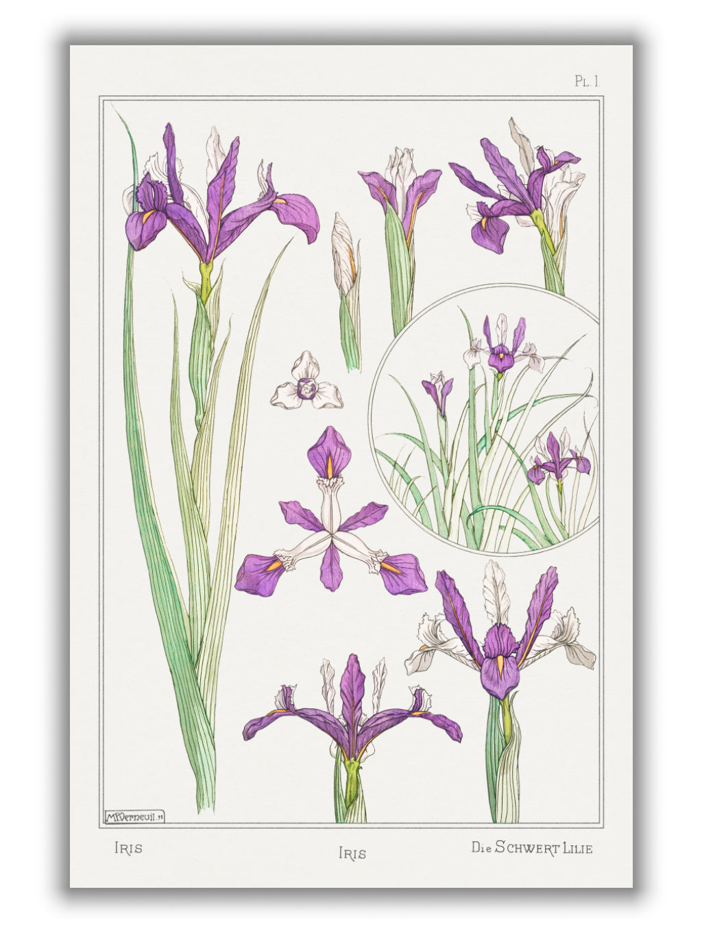 Iris by Maurice Pillard Verneuil