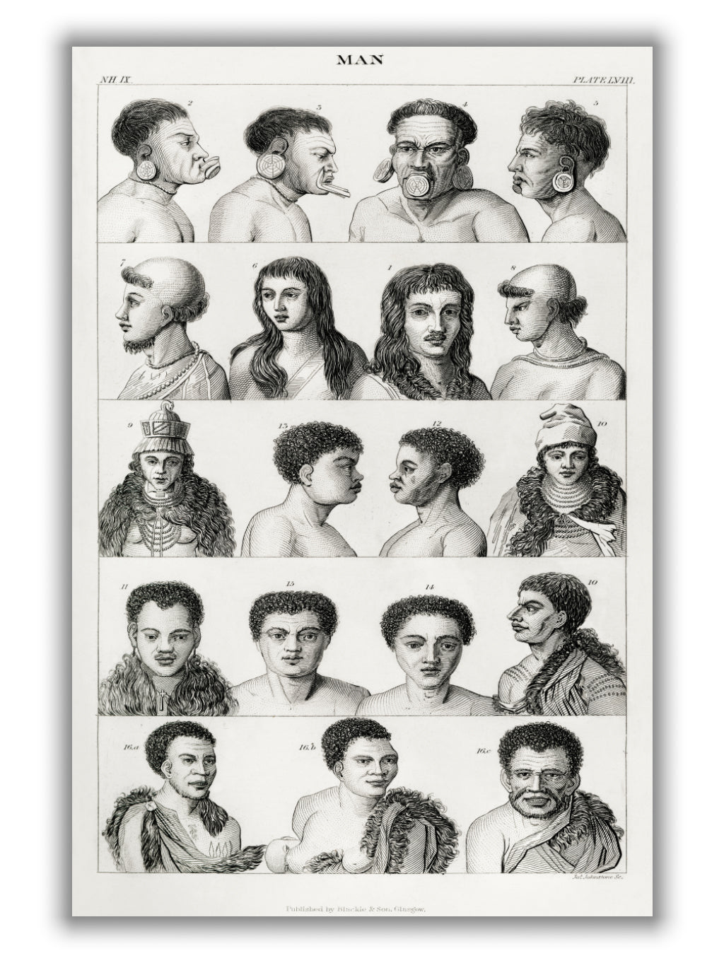 Man II by Oliver Goldsmith (1730-1774)