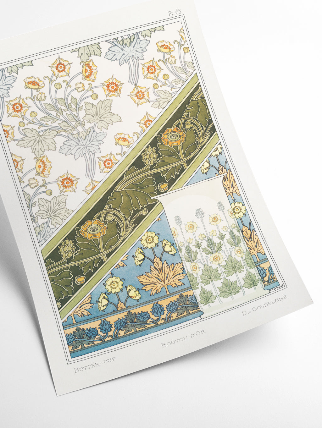 Vintage Botanicals - buttercup
