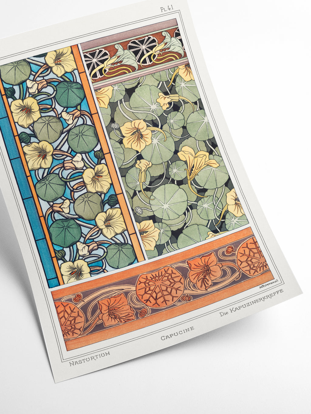 Vintage Botanicals - Capucine (nasturtium) III