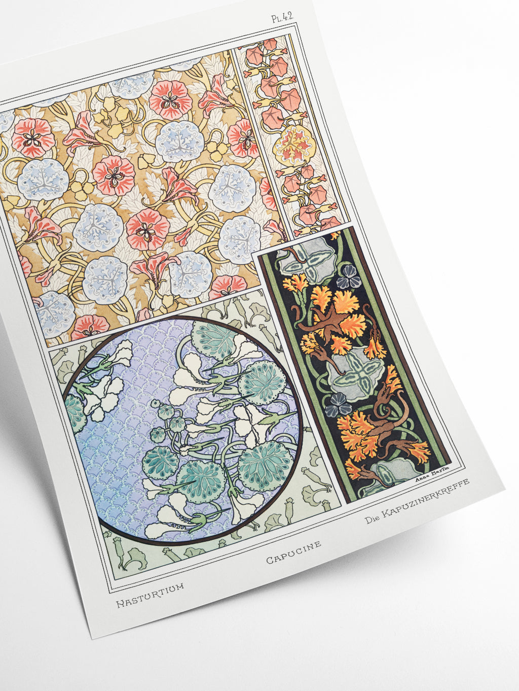 Vintage Botanicals - Capucine (nasturtium) IIII
